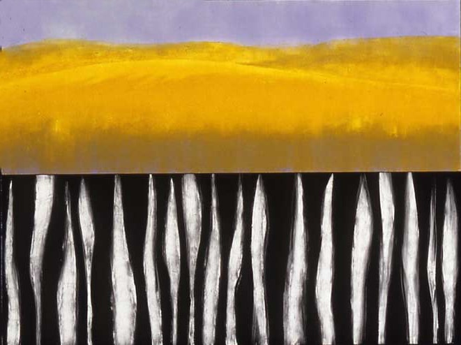 Field of Vision by Layne Kleinart